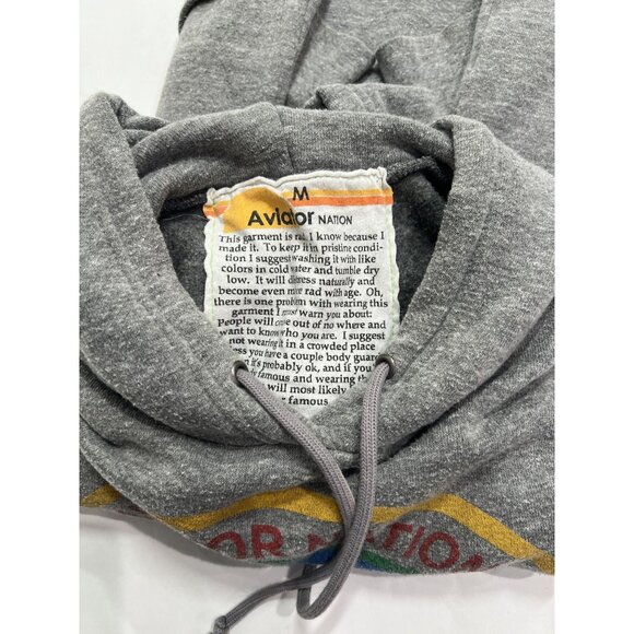Aviator Nation Aspen Relaxed Pullover Hoodie in Heather Grey - Picture 5 of 5
